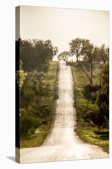 Road Cycling in Texas Hill Country Near Fredericksburg, Texas, Usa-Chuck Haney-Stretched Canvas