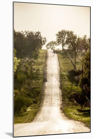 Road Cycling in Texas Hill Country Near Fredericksburg, Texas, Usa-Chuck Haney-Mounted Photographic Print