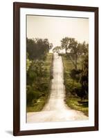 Road Cycling in Texas Hill Country Near Fredericksburg, Texas, Usa-Chuck Haney-Framed Photographic Print