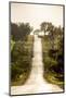 Road Cycling in Texas Hill Country Near Fredericksburg, Texas, Usa-Chuck Haney-Mounted Photographic Print