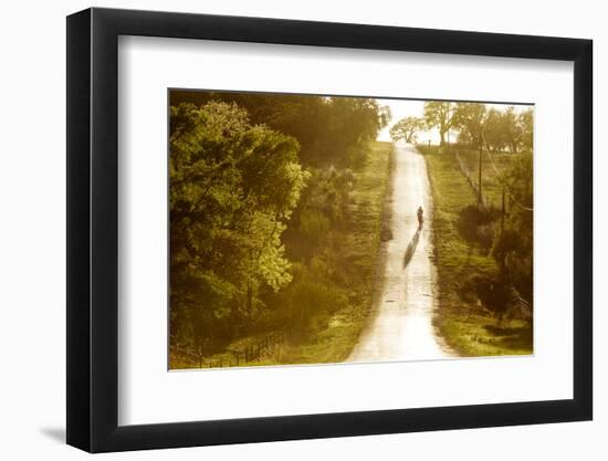 Road Cycling in Texas Hill Country Near Fredericksburg, Texas, Usa-Chuck Haney-Framed Photographic Print