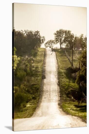 Road Cycling in Texas Hill Country Near Fredericksburg, Texas, Usa-Chuck Haney-Stretched Canvas