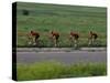 Road Cycling Team in Action-null-Stretched Canvas