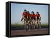 Road Cycling Team in Action-null-Framed Stretched Canvas