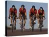 Road Cycling Team in Action-null-Stretched Canvas