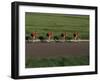 Road Cycling Team in Action-null-Framed Photographic Print