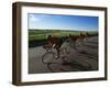 Road Cycling Team in Action-null-Framed Photographic Print