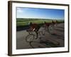 Road Cycling Team in Action-null-Framed Photographic Print