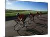 Road Cycling Team in Action-null-Mounted Photographic Print