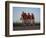 Road Cycling Team in Action-null-Framed Photographic Print