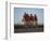 Road Cycling Team in Action-null-Framed Photographic Print