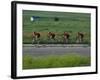 Road Cycling Team in Action-null-Framed Photographic Print