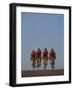 Road Cycling Team in Action-null-Framed Photographic Print