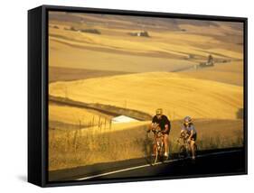 Road Cyclists Biking Through Wheat Harvest, near Pullman, Washington, USA-Chuck Haney-Framed Stretched Canvas