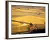 Road Cyclists Biking Through Wheat Harvest, near Pullman, Washington, USA-Chuck Haney-Framed Photographic Print