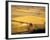 Road Cyclists Biking Through Wheat Harvest, near Pullman, Washington, USA-Chuck Haney-Framed Photographic Print