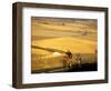 Road Cyclists Biking Through Wheat Harvest, near Pullman, Washington, USA-Chuck Haney-Framed Photographic Print