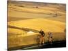 Road Cyclists Biking Through Wheat Harvest, near Pullman, Washington, USA-Chuck Haney-Stretched Canvas