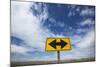 Road End Warning Sign on Country Road, Bruneau, Idaho-Paul Souders-Mounted Photographic Print