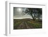 Road entering the Flint Hills of Kansas-Michael Scheufler-Framed Photographic Print