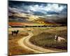 Road Field Stormy & Clouds-null-Mounted Art Print