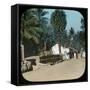 Road from Colombo to Galle, Colombo, Ceylon, Late 19th or Early 20th Century-null-Framed Stretched Canvas