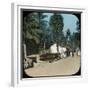 Road from Colombo to Galle, Colombo, Ceylon, Late 19th or Early 20th Century-null-Framed Giclee Print