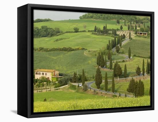 Road from Pienza to Montepulciano, Monticchiello, Val D'Orcia, Siena Province, Tuscany, Italy-Pitamitz Sergio-Framed Stretched Canvas