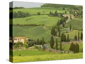 Road from Pienza to Montepulciano, Monticchiello, Val D'Orcia, Siena Province, Tuscany, Italy-Pitamitz Sergio-Stretched Canvas