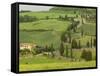 Road from Pienza to Montepulciano, Monticchiello, Val D'Orcia, Siena Province, Tuscany, Italy-Pitamitz Sergio-Framed Stretched Canvas