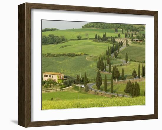 Road from Pienza to Montepulciano, Monticchiello, Val D'Orcia, Siena Province, Tuscany, Italy-Pitamitz Sergio-Framed Photographic Print