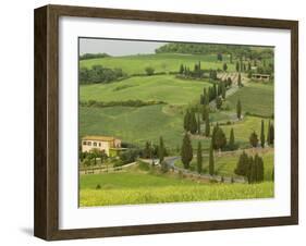 Road from Pienza to Montepulciano, Monticchiello, Val D'Orcia, Siena Province, Tuscany, Italy-Pitamitz Sergio-Framed Photographic Print