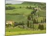 Road from Pienza to Montepulciano, Monticchiello, Val D'Orcia, Siena Province, Tuscany, Italy-Pitamitz Sergio-Mounted Photographic Print