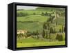 Road from Pienza to Montepulciano, Monticchiello, Val D'Orcia, Siena Province, Tuscany, Italy-Pitamitz Sergio-Framed Stretched Canvas