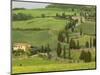 Road from Pienza to Montepulciano, Monticchiello, Val D'Orcia, Siena Province, Tuscany, Italy-Pitamitz Sergio-Mounted Photographic Print