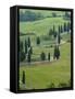 Road From Pienza to Montepulciano, Monticchiello, Val D'Orcia, Tuscany, Italy-Sergio Pitamitz-Framed Stretched Canvas