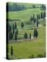Road From Pienza to Montepulciano, Monticchiello, Val D'Orcia, Tuscany, Italy-Sergio Pitamitz-Stretched Canvas