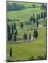 Road From Pienza to Montepulciano, Monticchiello, Val D'Orcia, Tuscany, Italy-Sergio Pitamitz-Mounted Photographic Print