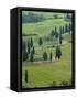 Road From Pienza to Montepulciano, Monticchiello, Val D'Orcia, Tuscany, Italy-Sergio Pitamitz-Framed Stretched Canvas