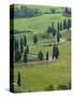 Road From Pienza to Montepulciano, Monticchiello, Val D'Orcia, Tuscany, Italy-Sergio Pitamitz-Stretched Canvas