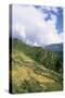 Road from Puntsholing to Paro, Bhutan-Vivienne Sharp-Stretched Canvas