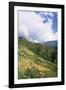 Road from Puntsholing to Paro, Bhutan-Vivienne Sharp-Framed Photographic Print