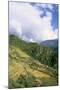 Road from Puntsholing to Paro, Bhutan-Vivienne Sharp-Mounted Photographic Print