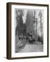 Road Going Through a Giant Sequoia, Mariposa Grove, Wawona, California, Late 19th Century-John L Stoddard-Framed Giclee Print