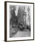 Road Going Through a Giant Sequoia, Mariposa Grove, Wawona, California, Late 19th Century-John L Stoddard-Framed Giclee Print