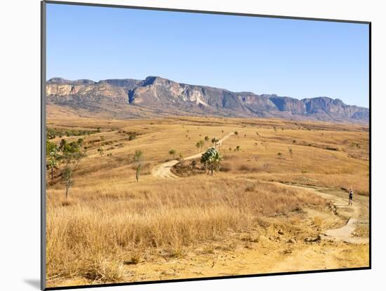 Road Going Through the Isalo National Park, Madagascar, Africa-null-Mounted Photographic Print