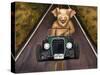 Road Hog-Leah Saulnier-Stretched Canvas