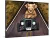 Road Hog-Leah Saulnier-Stretched Canvas