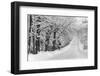 Road Home-Orah Moore-Framed Art Print