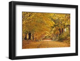 ROAD IN AUTUMN CENTRAL PENNSYLVANIA USA-Panoramic Images-Framed Photographic Print